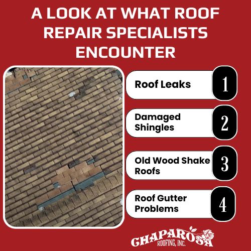 what roof repair specialists encounter